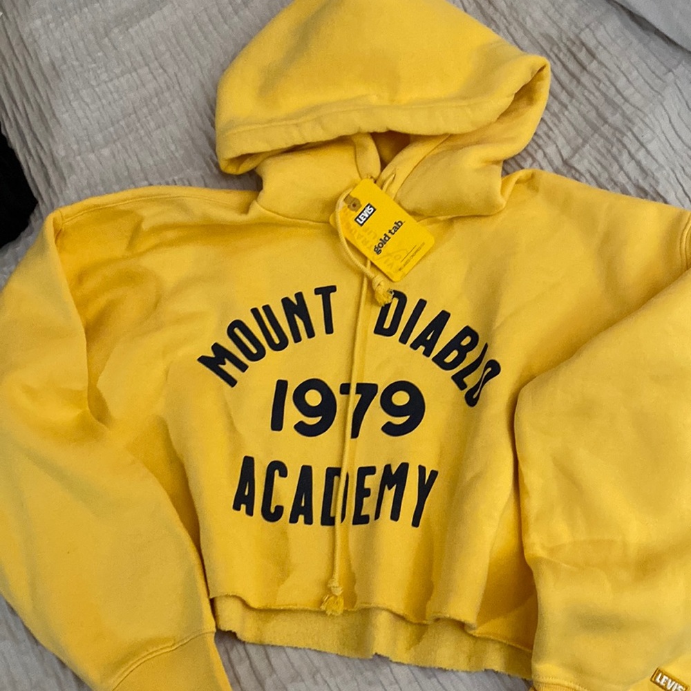 NWT levis cropped hoodie